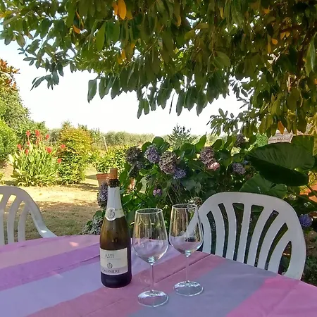 Corte Bicchio 11 Ospiti